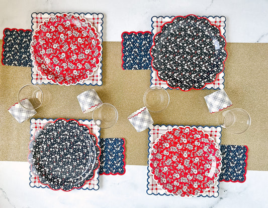 Patriotic Picnic Themed Party Box