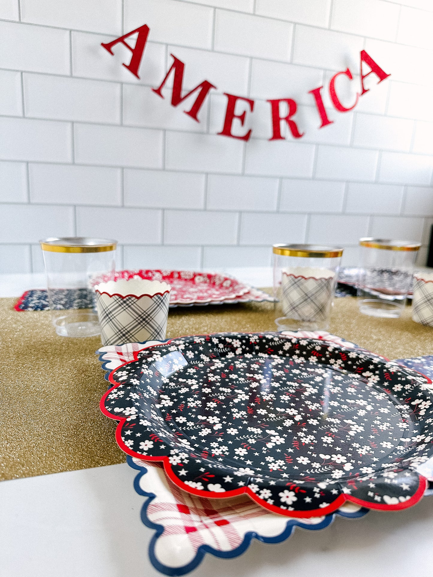 Patriotic Picnic Themed Party Box