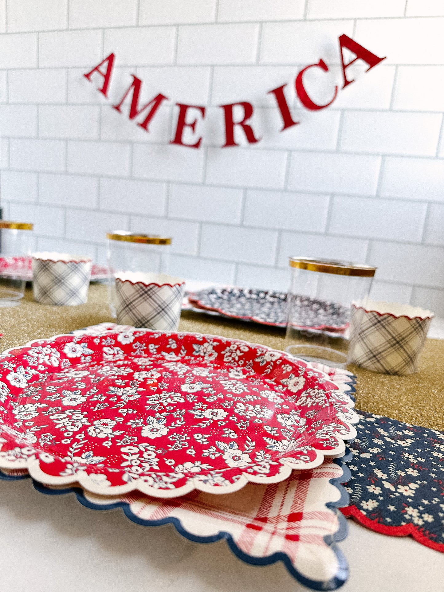 Patriotic Picnic Themed Party Box