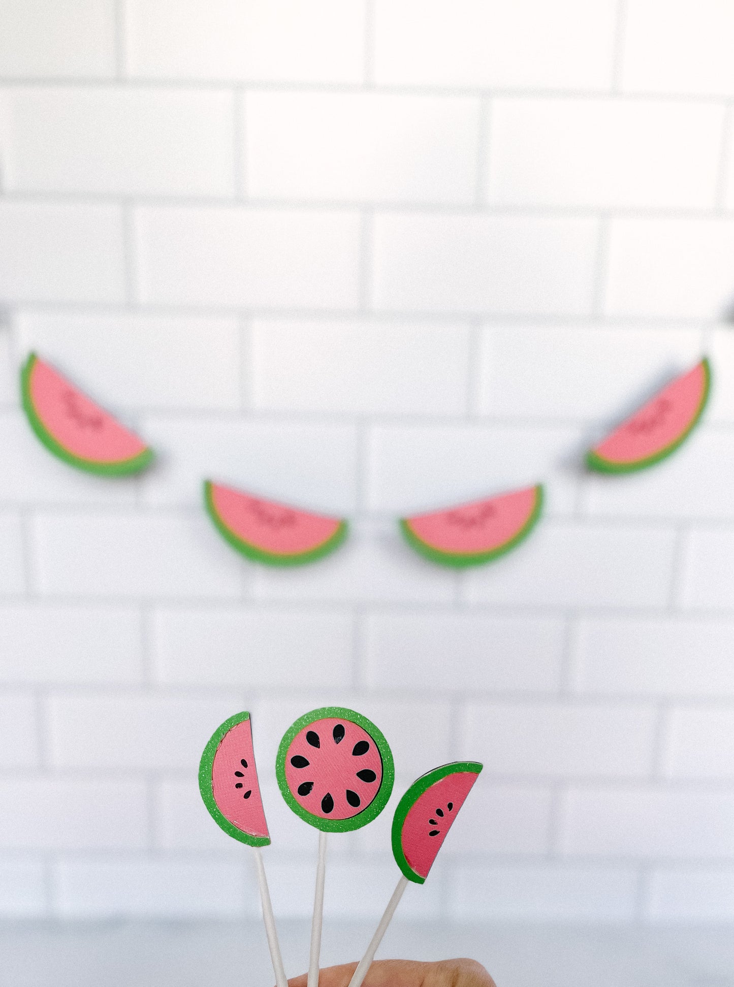 One In A Melon Party Box