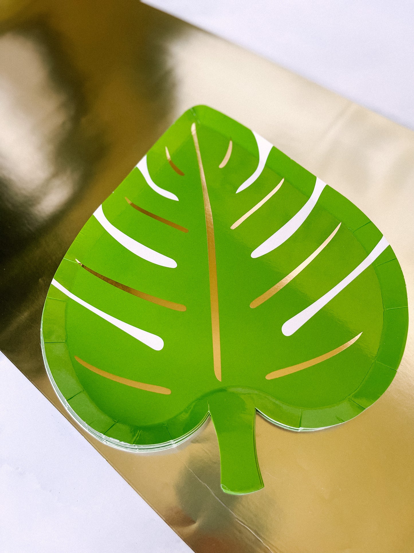 Palm Leaf Plates
