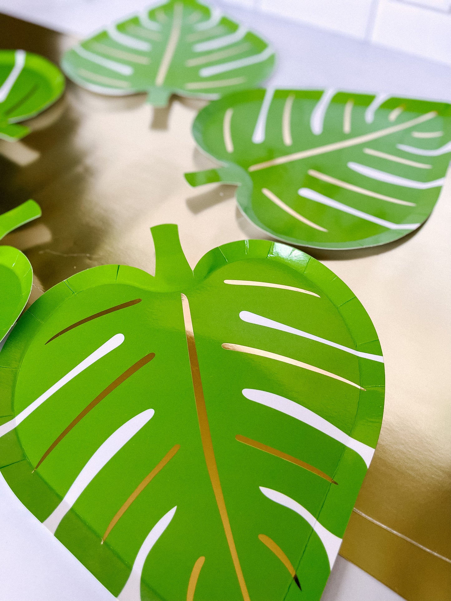 Palm Leaf Plates