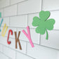 Lucky Charm Breakfast Box | St Patrick's Day Party Box | Shamrock Themed Party
